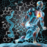 Drostanolone propionato e la sua azione sul metabolismo energetico durante l'esercizio fisico